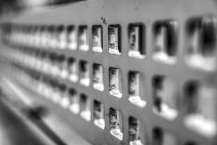 米兰体育app官网入口-青少年运动损伤预防技术实践,青少年运动损伤治疗与康复